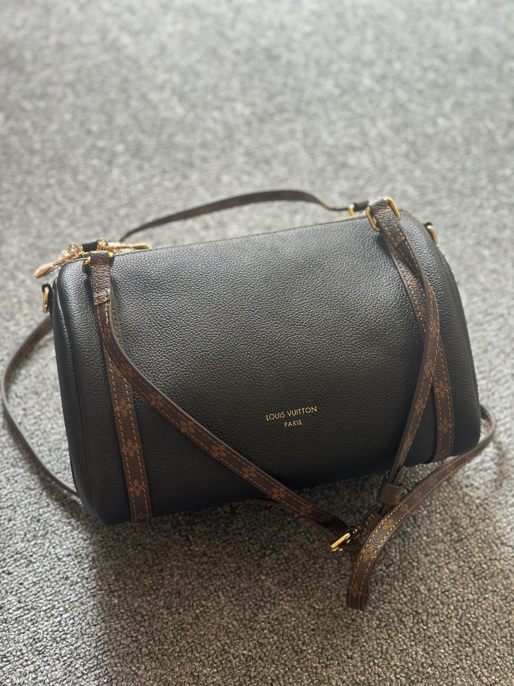 Louis Vuitton Monogram Express PM Bag